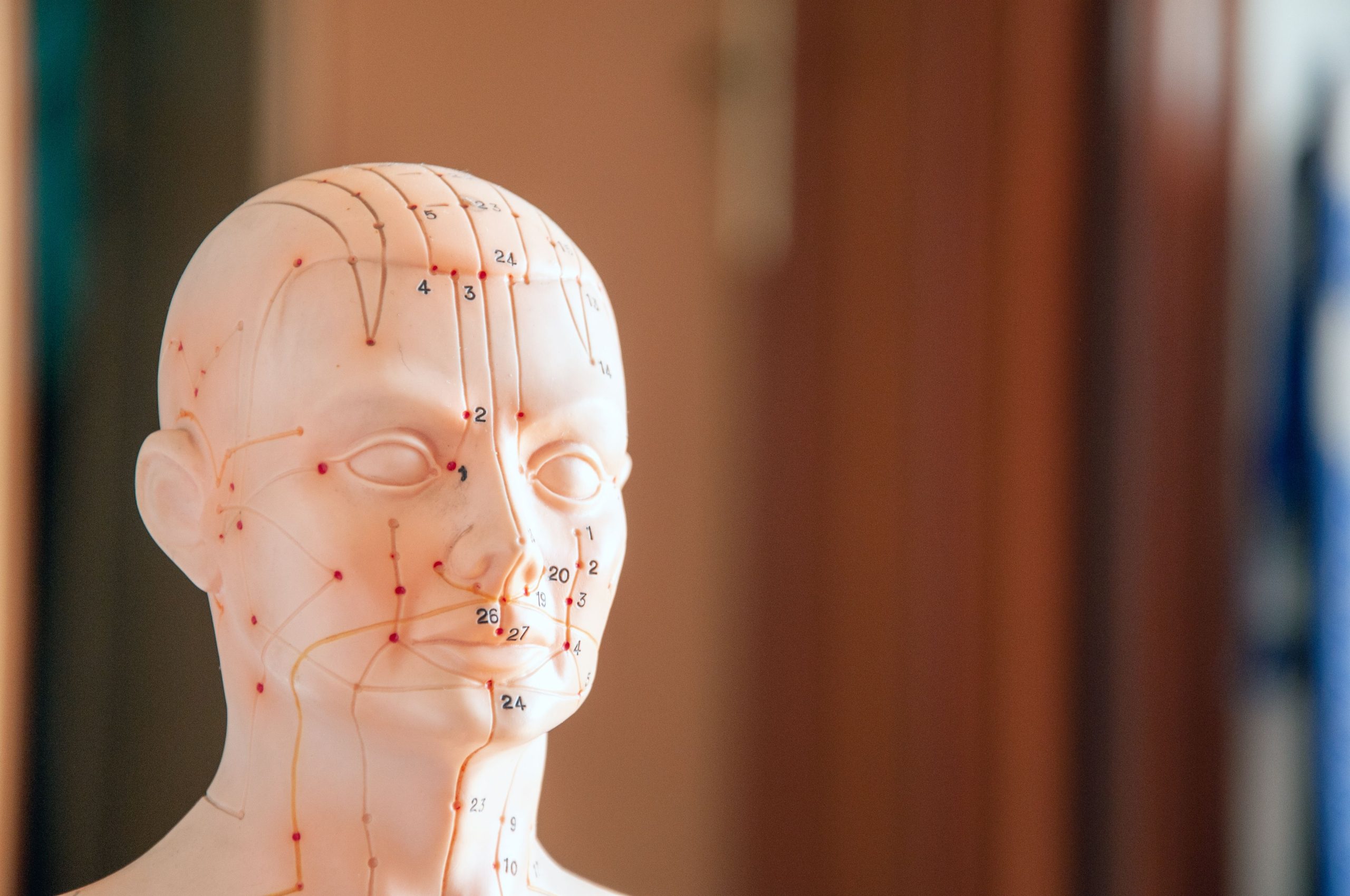 Méridien du foie visage acné rides