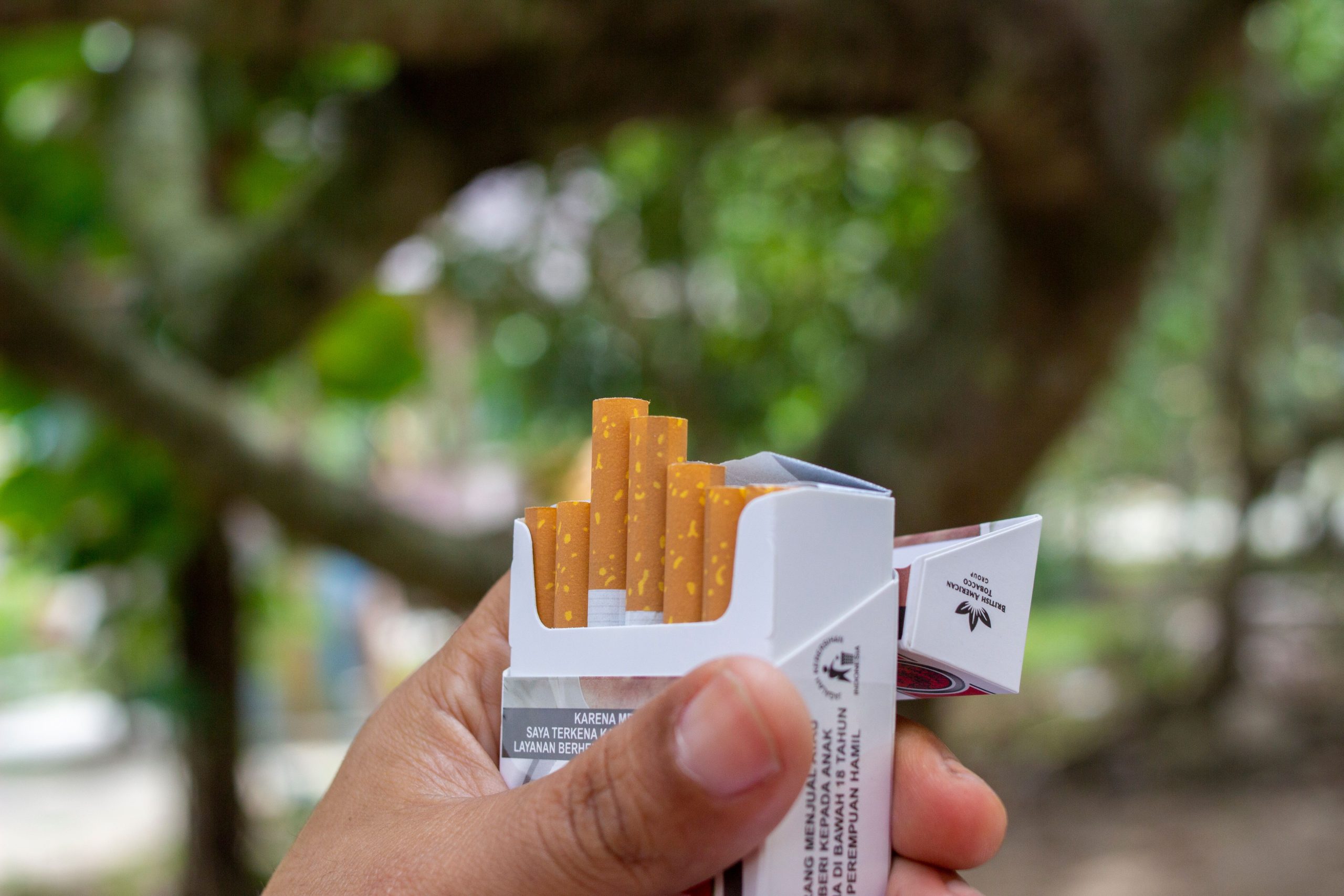 Main tenant un paquet de cigarettes ouvert
