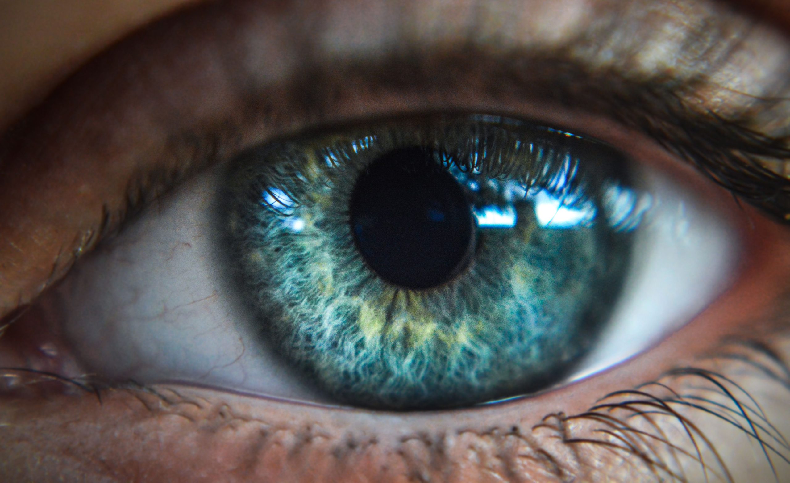 Oeil bleu haute resolution avec cils nets