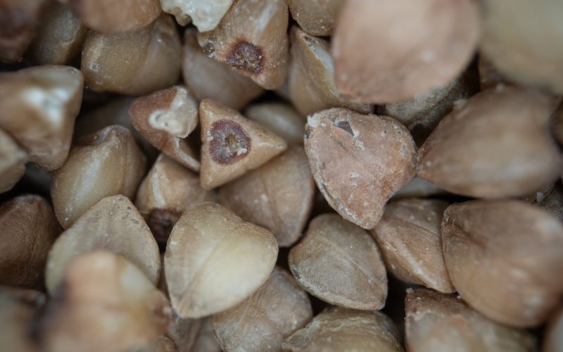 Sarrasin gluten ou pas : quelle est la vérité ?