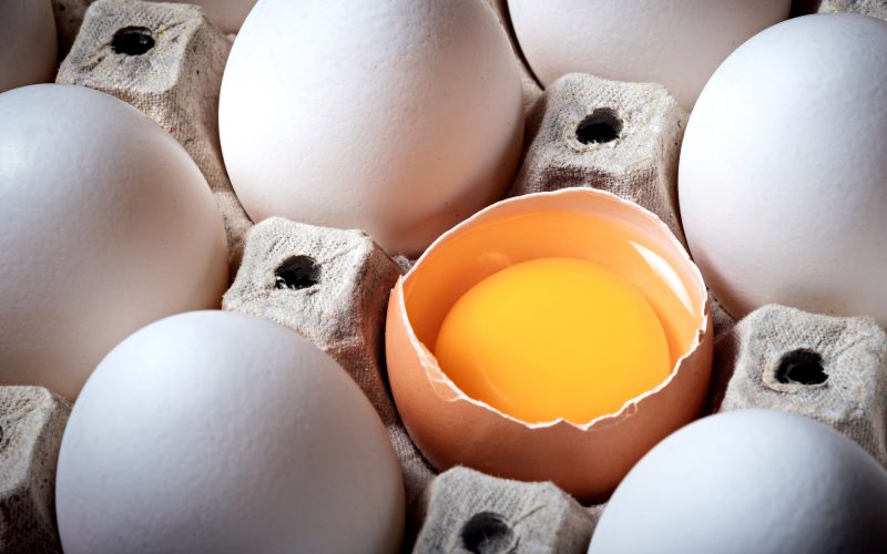 Quel aliment contient le plus de vitamine B12 ?