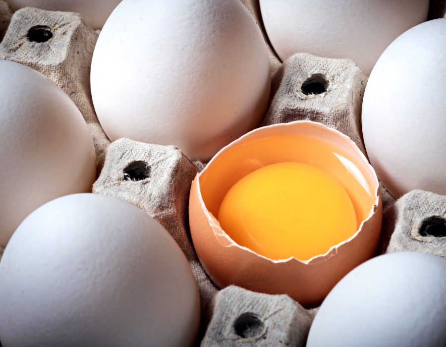 Quel aliment contient le plus de vitamine B12 ?