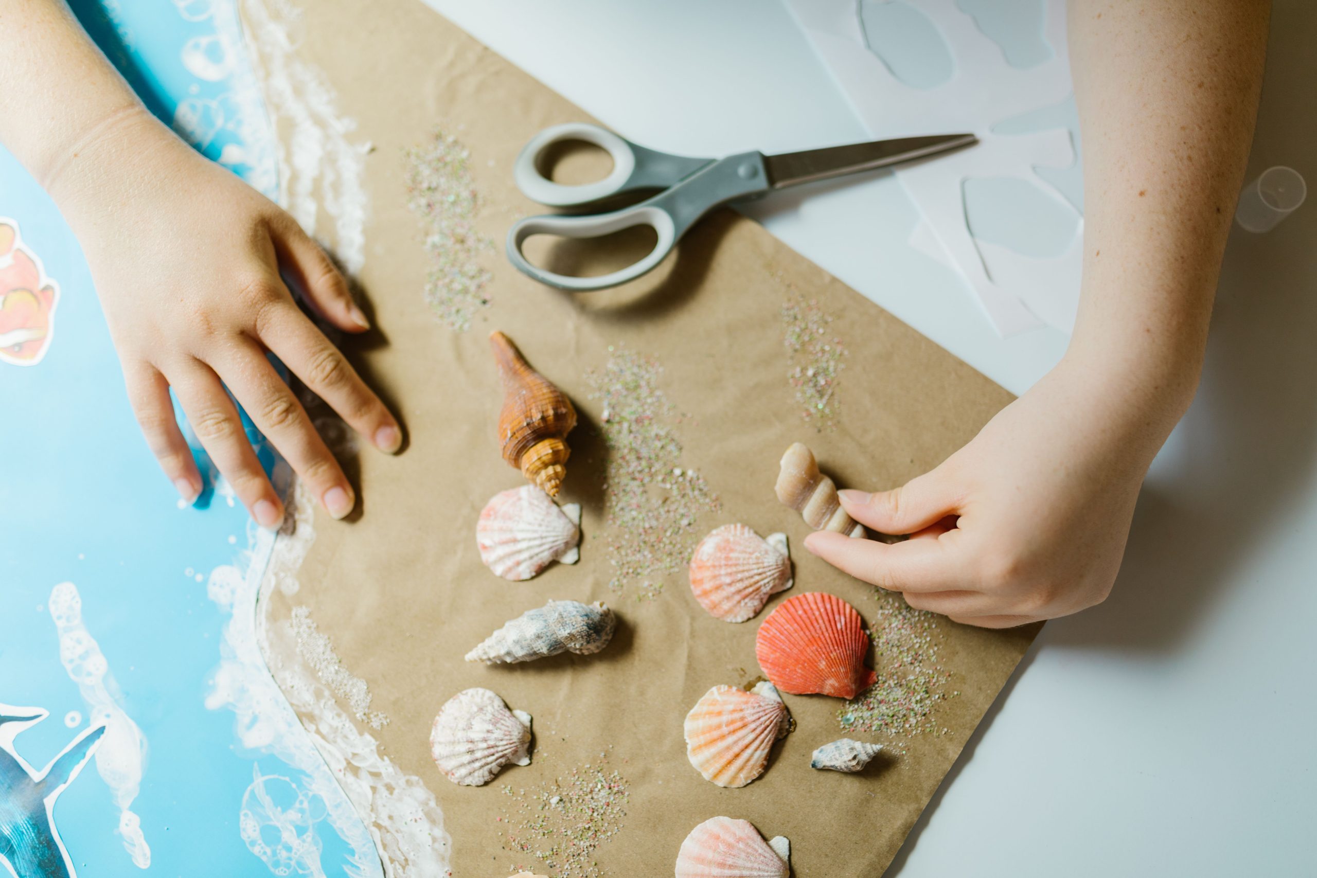 Mains arrangeant des coquillages sur papier