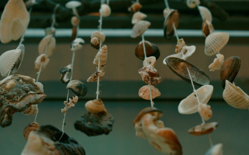 Comment donner une seconde vie à des coquillages de plage ?